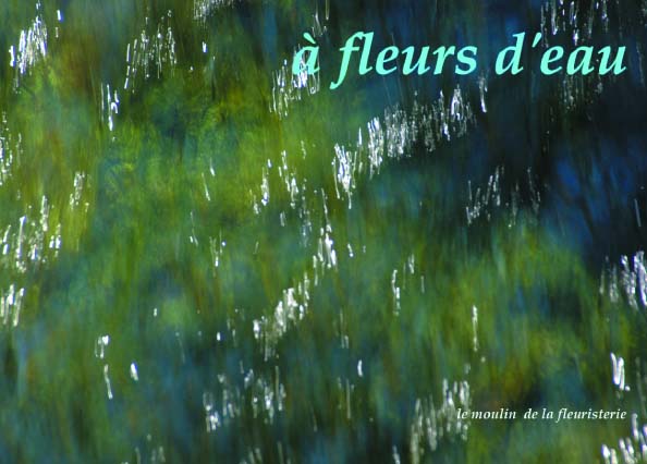 A_fleurs_deau_1ere_page.jpg (43899 octets)