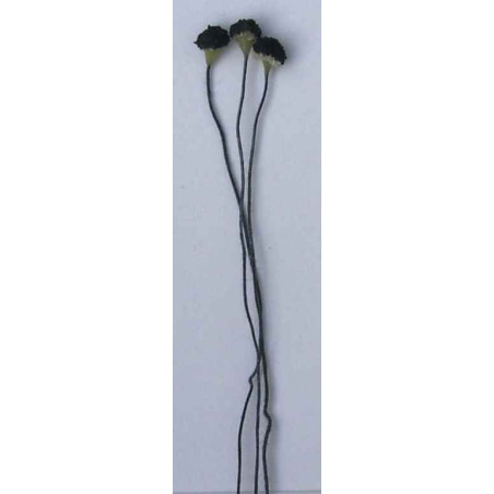 Cœur de fleur grainé noir, laiton noir, 1 côté, tige 7cm