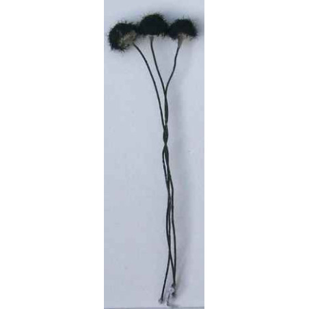 Cœur d'anémone lainée noir, laiton noir, 1 côté, tige 7cm