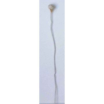 Cœur de fleur blanc grainé, laiton blanc, 1 côté, tige 7cm