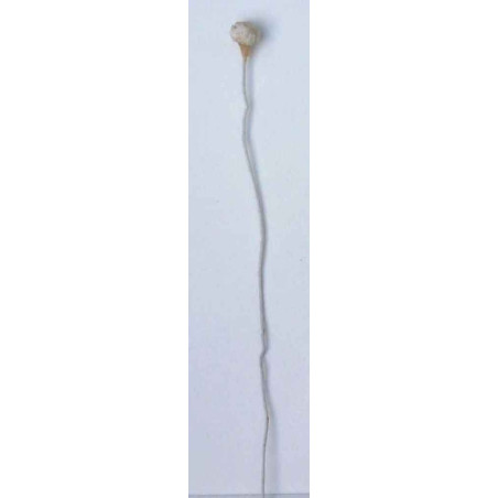 Cœur de fleur blanc grainé, laiton blanc, 1 côté, tige 7cm