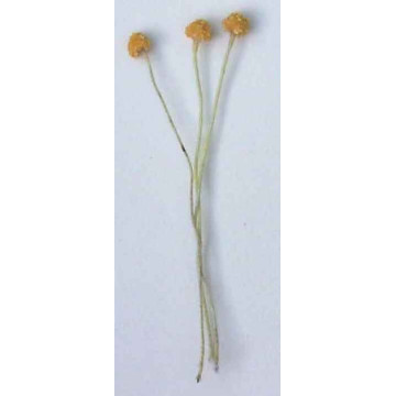 Cœur de pâquerette jaune-or grainé, laiton jauni, 1 côté, tige 7cm