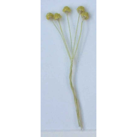 Cœur de pâquerette jaune grainé clair, laiton jauni, 1 côté, tige 7cm