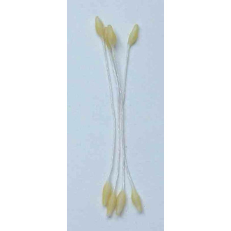 Gypsophile crème paille, fil blanc, 2 côtés, tige 7cm