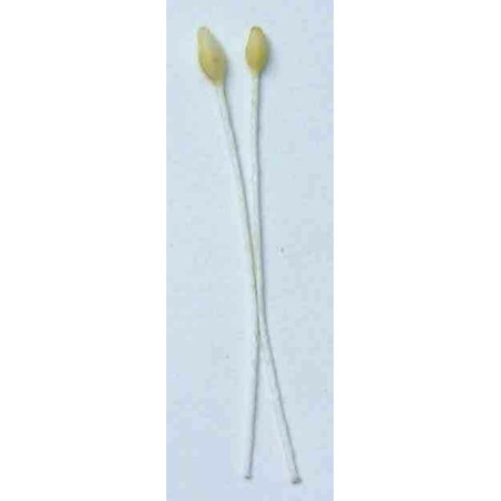 Gypsophile blanc, feuille verdie, fil blanc, 1 côté, tige 7cm