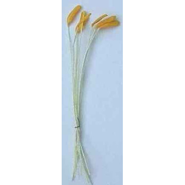 Marteau jaune orangé, fil jaune, 1 côté, 9cm