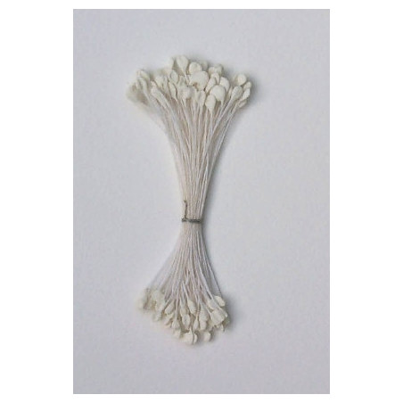 Épis blanc, fil blanc, 2 côtés, 6cm