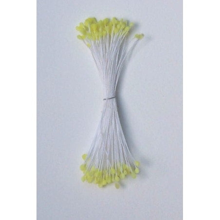 Épis citron vert, fil blanc, 2 côtés, 6cm