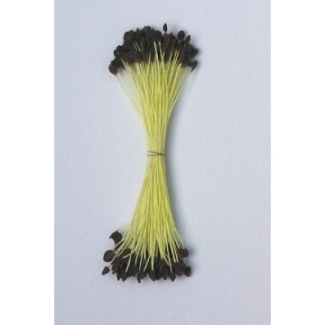Épis réséda, fil jaune, 2 côtés, 6cm