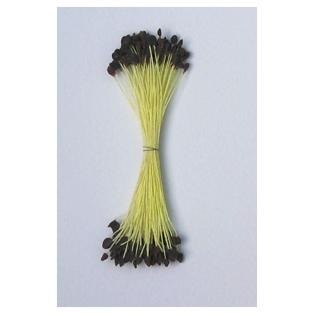 Épis réséda, fil jaune, 2 côtés, 6cm