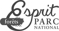 Parc national de forêts